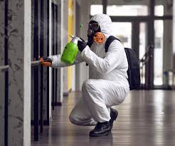 Professional Mold Removal in Heritage Hills, NY